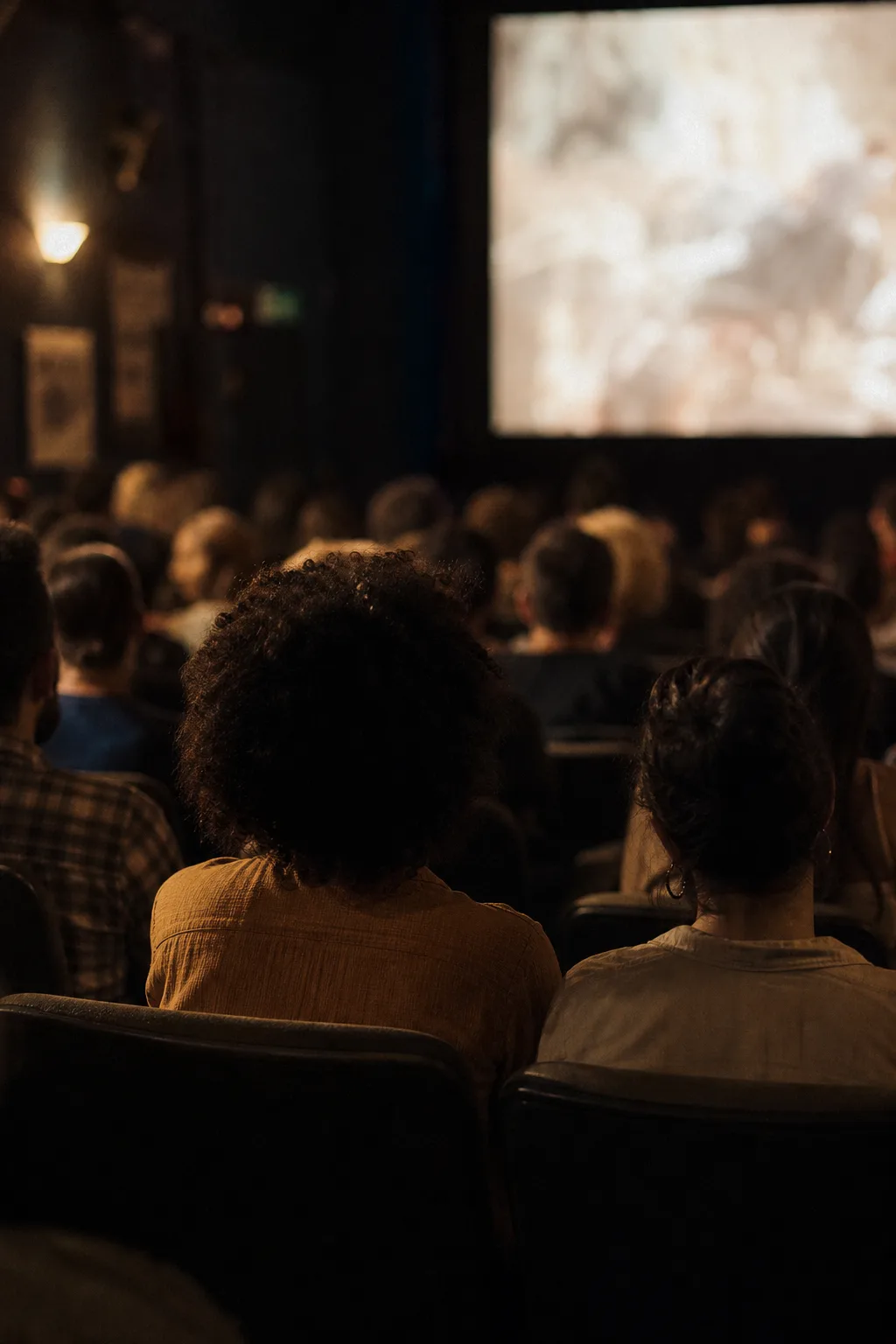Público visto de costas em uma sala de cinema.
